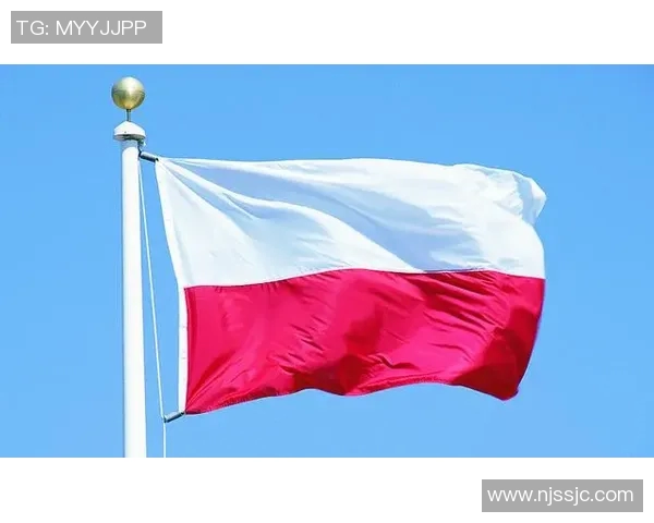 深圳排球队逆袭之旅揭秘世界锦标赛背后的奋斗与荣耀